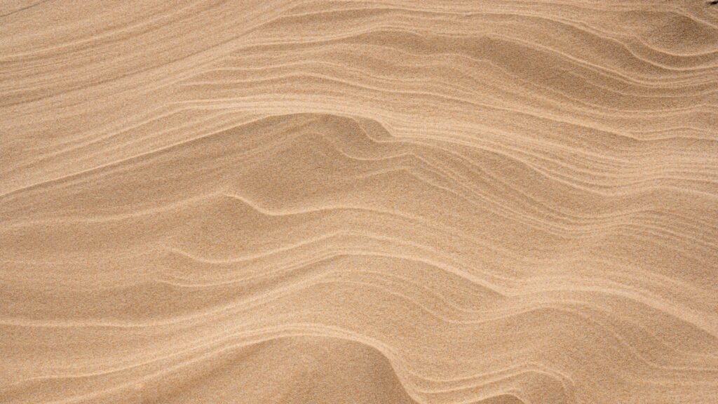 Windblown ripples in fine sand