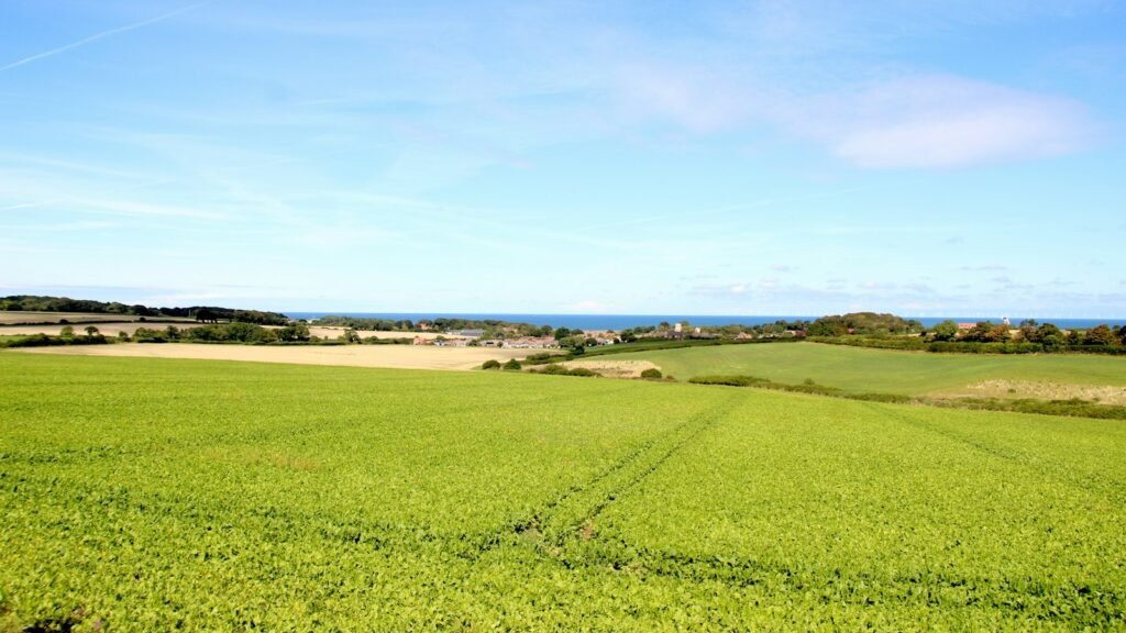 Green field overlooking a coastal village and the sea