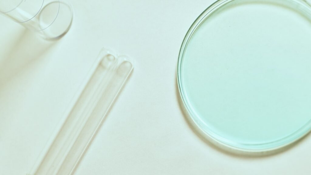 Clear round petri dish on a white table